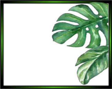 a watercolor painting of a green leaf