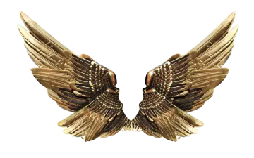a pair of wings on a white background