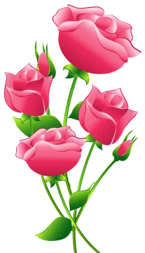 a bunch of pink roses with green leaves