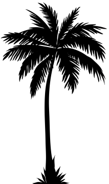 a black and white silhouette of a palm tree