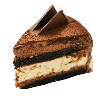 a piece of chocolate cake on a white background
