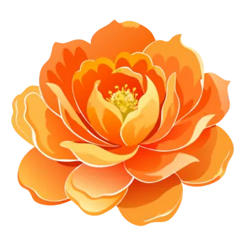 an orange flower on a white background