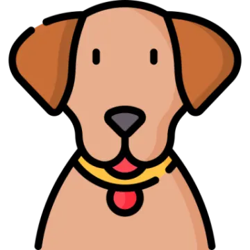 a brown dog with a yellow collar