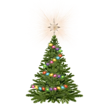 a christmas tree with a star on top