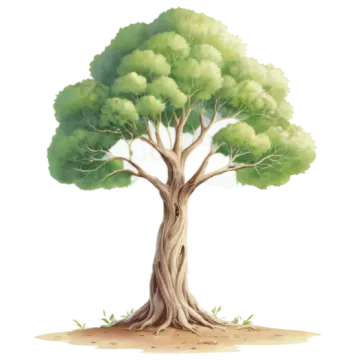 an illustration of a tree