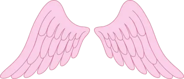 a pair of pink angel wings