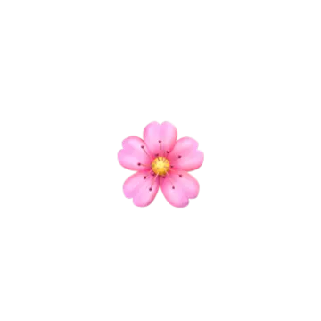 a pink flower on a white background