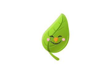 a green leaf with a smiley face on it