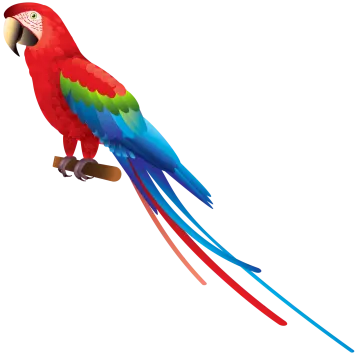 a red and green parrot perched on a branch