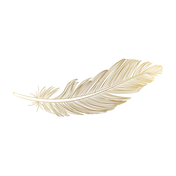 a golden feather on a white background