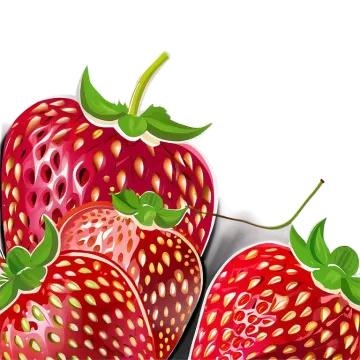 a bunch of strawberries on a white background