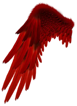 the wings are red