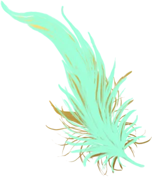 a green feather on a white background
