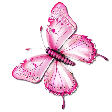 a pink butterfly on a white background