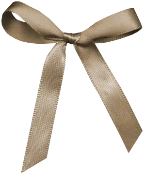 a brown ribbon tied to a white background