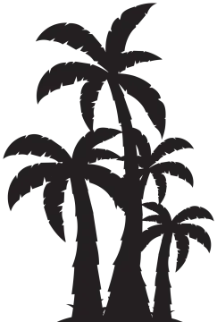 two palm trees silhouetted against a white background