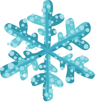 an illustration of a snowflorer