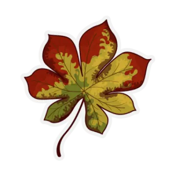 a red and yellow maple leaf