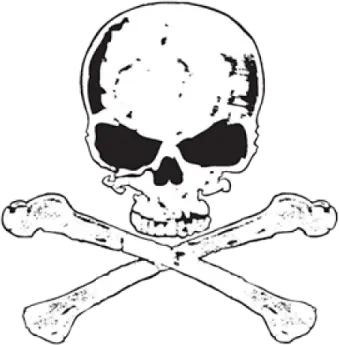 a skull and cross bones on a white background