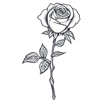 a rose tattoo design