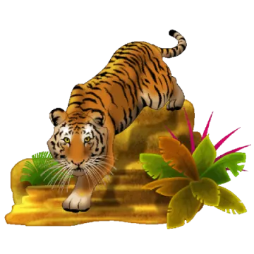 a tiger standing on top of a rock