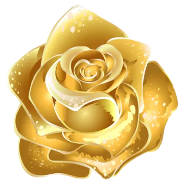 a golden rose on white background