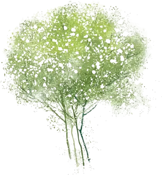 a watercolor painting of a tree