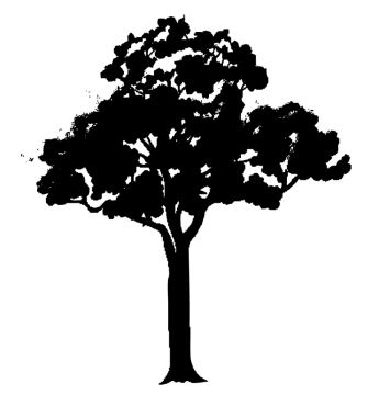 a black and white silhouette of a tree