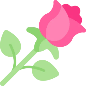 a pink rose on a white background