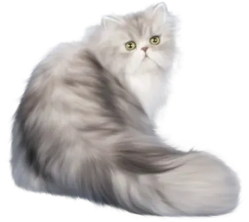 a gray cat with green eyes sitting down