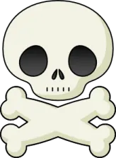 a skull and crossbone