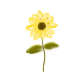a yellow flower on a white background