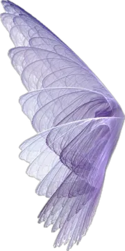 a purple angel wing on a white background