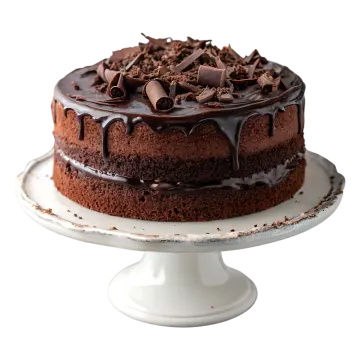 a chocolate cake with chocolate frosting on top
