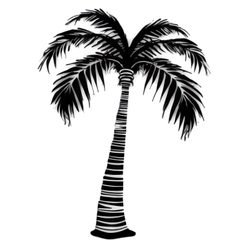 a black and white silhouette of a palm tree