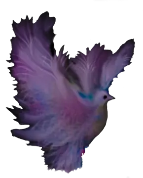a picture of a bird flying in the air