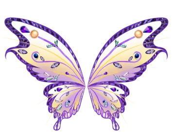 a purple and yellow butterfly on a white background