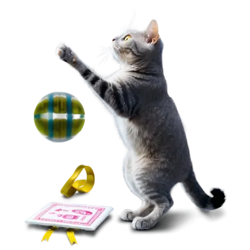a cat playing with a ball and a book