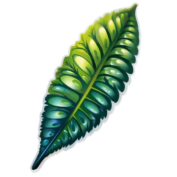 a green leaf on a white background