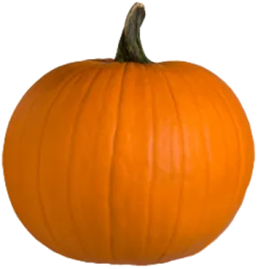 a small orange pumpkin on a white background