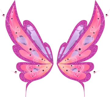 a pair of pink and purple butterfly wings