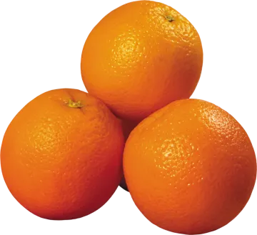 three oranges on a white background