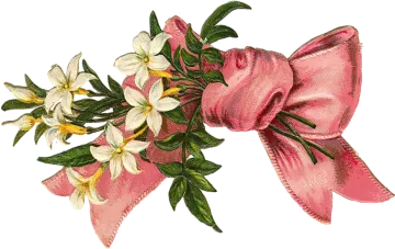 a pink bow with white flowers and green leaves