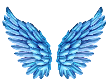 a pair of blue wings
