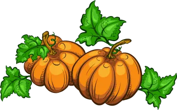 a bunch of pumpkins with green leaves