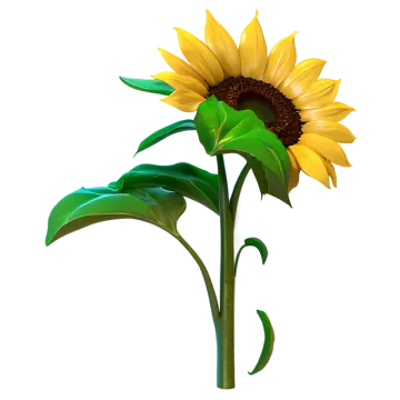a single yellow sunflower on a white background