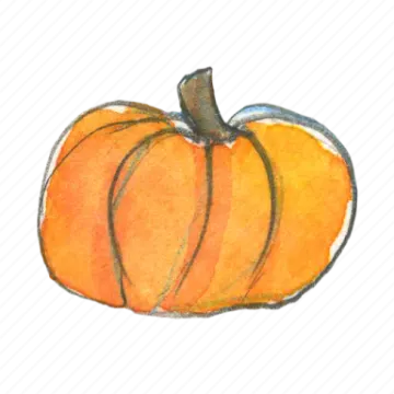 a watercolor drawing of a pumpkin