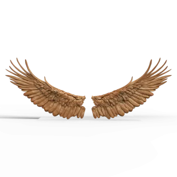 two wooden wings on a white background