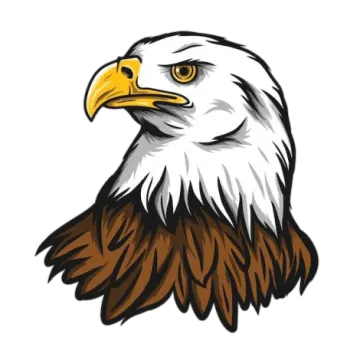 an eagle head on a white background