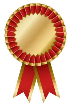 a gold medal with red ribbon